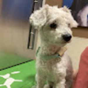 Meet your Posher, Daniella